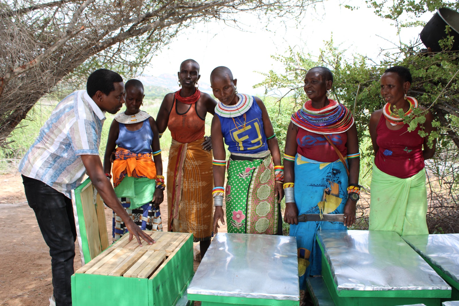 Beekeeping initiative
