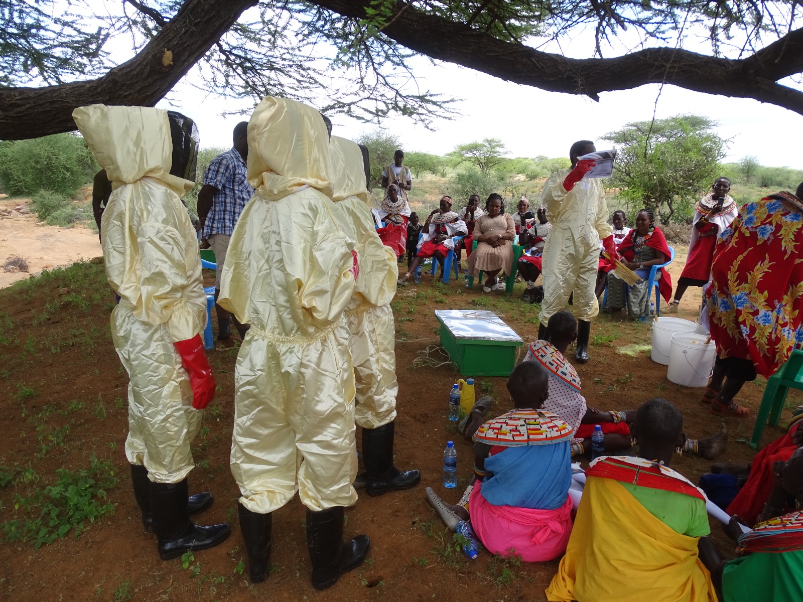 Beekeeping initiative