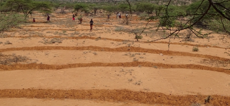 Unprecedented Voluntary Restoration Work Led by Mama Grevy