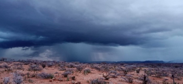 Celebrating Rain in Northern Kenya!