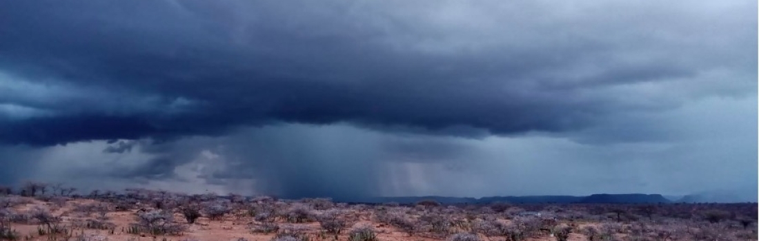 Celebrating Rain in Northern Kenya!