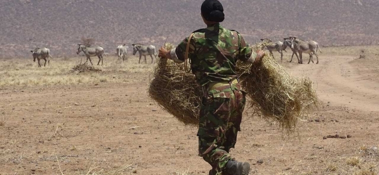 Responding to the Drought Crisis in Northern Kenya