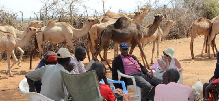 Conservation – A Bridge to Peace in Samburu North