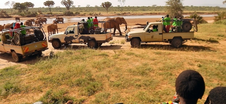Safari To Samburu